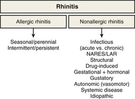 Upper Airway Disease Rhinitis And Rhinosinusitis Clinical Gate