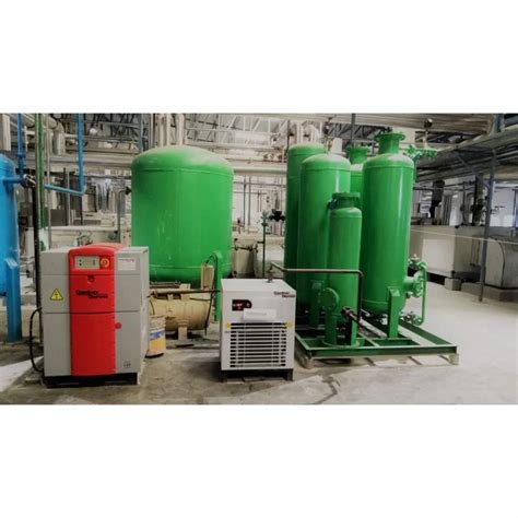 Psa Nitrogen Gas Plant 100 Lpm 6 Nm3 Hr Automation Grade Automatic At ₹ 560000 In Noida