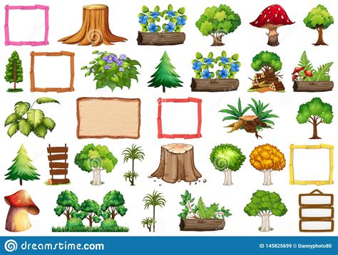 Placez Des Plantes Ornementales Illustration Stock Illustration Du