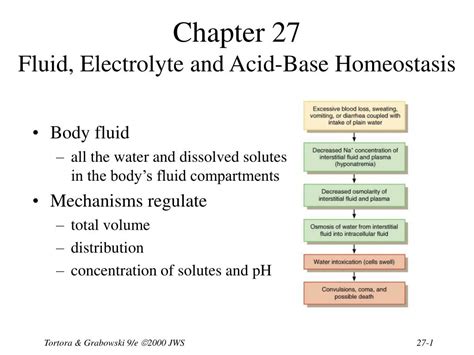 Ppt Chapter 27 Fluid Electrolyte And Acid Base Homeostasis Powerpoint Presentation Id606320