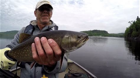 Lake Nipigon And The Nipigon River 2022 Brook Trout Fishing Hamish