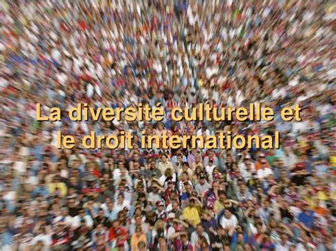 Ppt La Diversit Culturelle Et Le Droit International Powerpoint