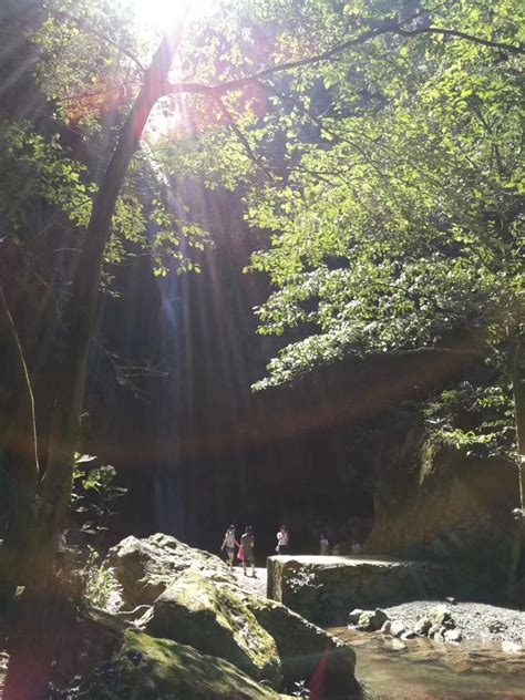 湖湘自然历丨清凉一夏㉘小溪流水，平凡中的不凡 湖湘自然历 新湖南