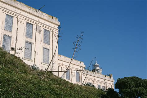 Doing Time in the Gardens of Alcatraz - Wonderground