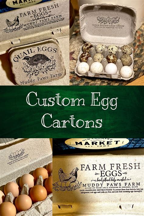 Cute Egg Cartons