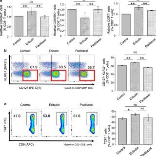 phenotypic change  cdcd stimulated  cells  human pbmc