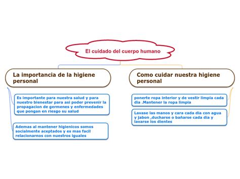 El Cuidado Del Cuerpo Humano Mind Map