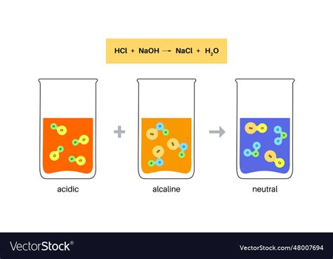 Reaction neutralization poster Royalty Free Vector Image