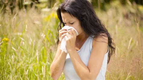 What Is Thunder Fever Symptoms Explained And Why Uk Pollen Levels Have Sparked Hay Fever Warnings