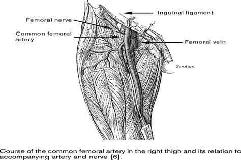 journal  cardiovascular medicine