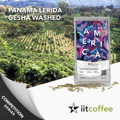 Jual Arabica Green Beans Panama Lerida Gesha Washed Kg Shopee