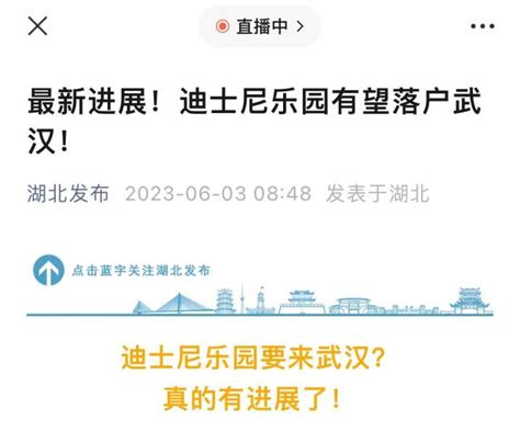 迪士尼乐园有望落户武汉？上海迪士尼度假区回复：这是假新闻杭州网