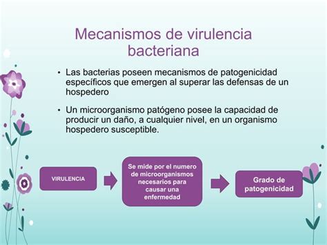 Factores De Virulencia Bacteriana PPT