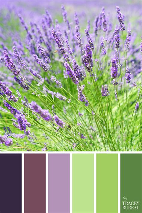 What Colors Go With Lavendar