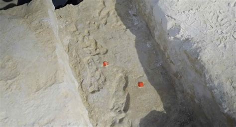 Confirmation of Oldest Fossil Human Footprints in North America Upends ...