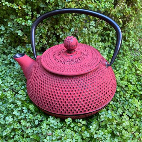 Red Cast Iron Tea Pot 800ml The Deli