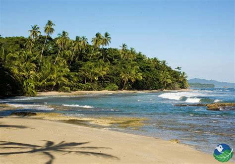 Playa Cocles or Cocles Beach located on the Caribbean side