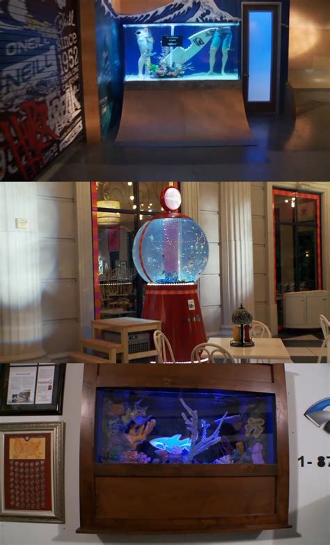 tv show tanked cast 7