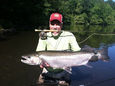 Summer Skamania Steelhead Just Starting Gonna Be A Fantastic Summer