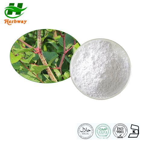 Herbway Kosher Halal Fssc Haccp Certified Polygonum Cuspidatum Extract