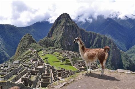 Amazing Machu Picchu Facts That Will Surprise You Peru Hop