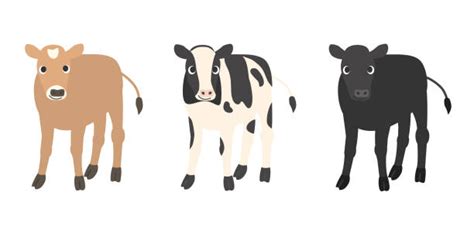 Vacas De Jersey Vectores Libres De Derechos Istock