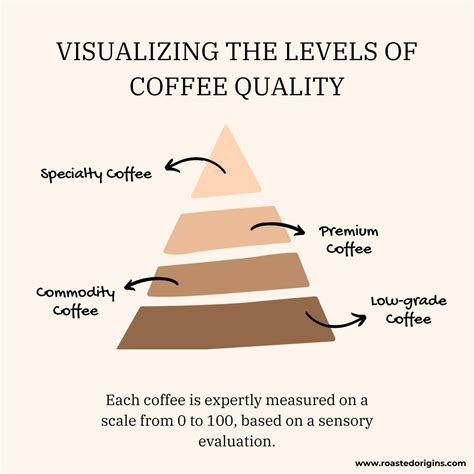 Specialty Coffee Vs Store Bought Coffee What You Need To Know