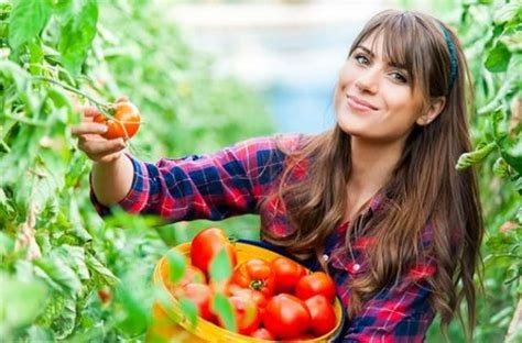 Lavoro Facile Adecco Seleziona Addetti Alla Raccolta Di Frutta O