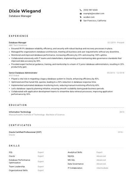 Database Manager Resume Example