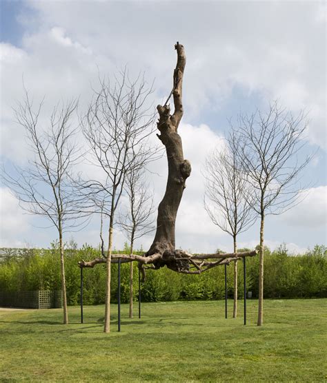 Happy Birthday To Italian Artist Giuseppe Penone