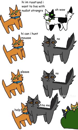 Warrior Cats Warrior Cats Discover Share GIFs