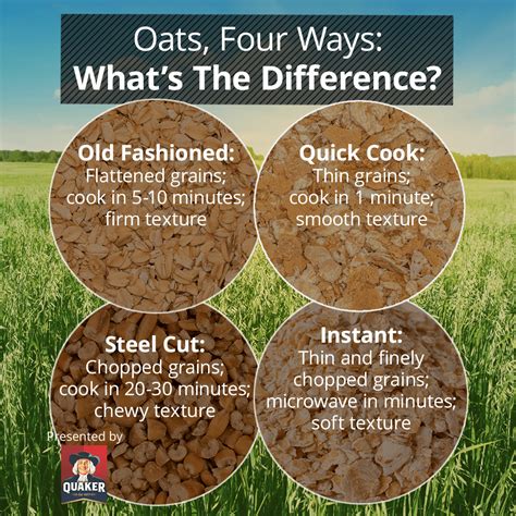 Steel Cut Oats Vs Rolled Oats