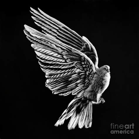 Dove Side Painting By Heather Strazza Fine Art America