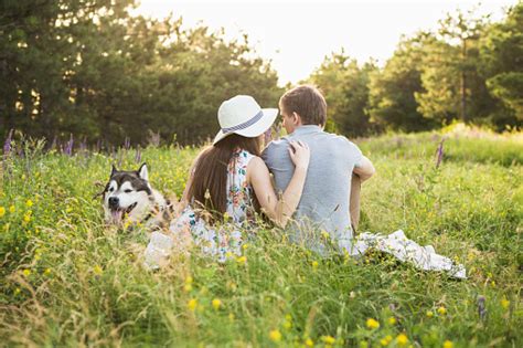 남자와 여자는 잔디에 앉아을 수용 합니다 가축에 대한 스톡 사진 및 기타 이미지 가축 개 걷기 Istock