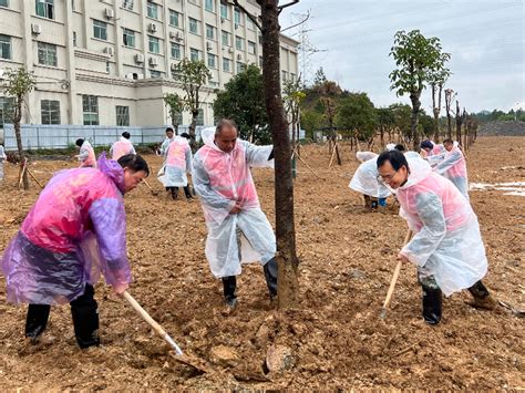 镇街动态“植”此青绿，共建绿美横石塘英德市人民政府网