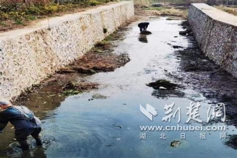 枣阳市车河管理区：还原水清岸美 巡河护河在行动 荆楚网 湖北日报网