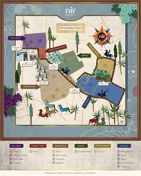 vineyard map  poster design nif baglari  behance