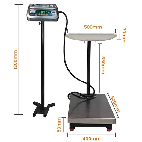 BCA Electronic Baby Cum Adult Scale At Rs 7200 Baby Weighing Scale