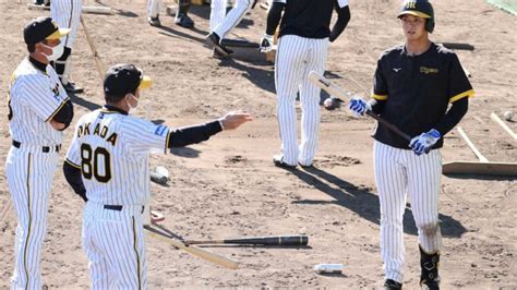 これが掛布打法なんよ 阪神・岡田監督が井上に秘技伝授「ボールの向こう側を“しばく”言うんよ」 │ トリビアンテナ 5chまとめアンテナ速報