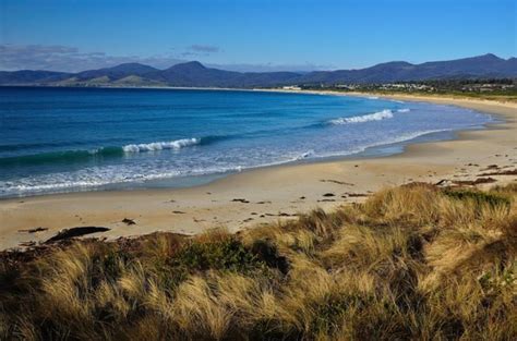 Scamander Tourist Park – on Tasmania's beautiful East Coast