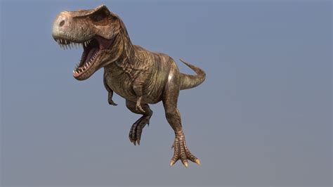 Tyrannosaurus Rex Download Free 3d Model By Render Zing Renderzing F95d2c2 Sketchfab