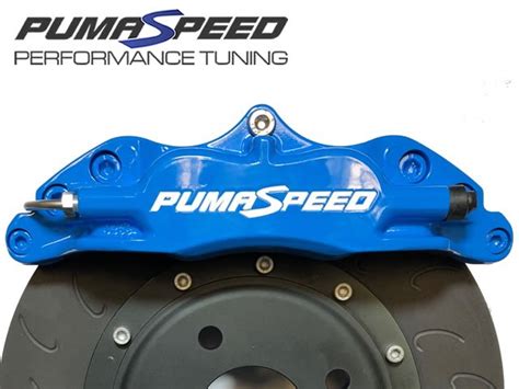 Kit Pinze Maggiorate Pot Mm Pumaspeed Fiesta St Mk