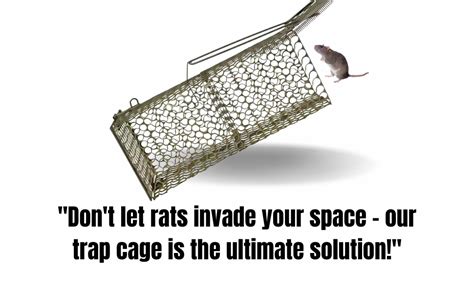 Nihashika Rat Trap Cage For Rat Catching Chuha Pinjra For Catching Rat