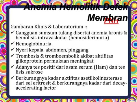 Anemia Hemolitik Ppt