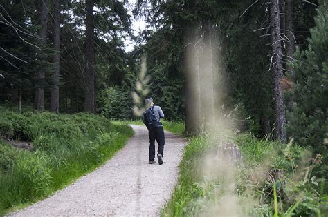 Highlight Touren Im Nationalpark