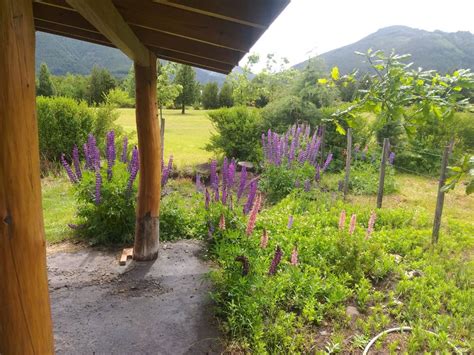 Cabañas Piwkenyeyu en Villa Lago Meliquina Patagonia argentina