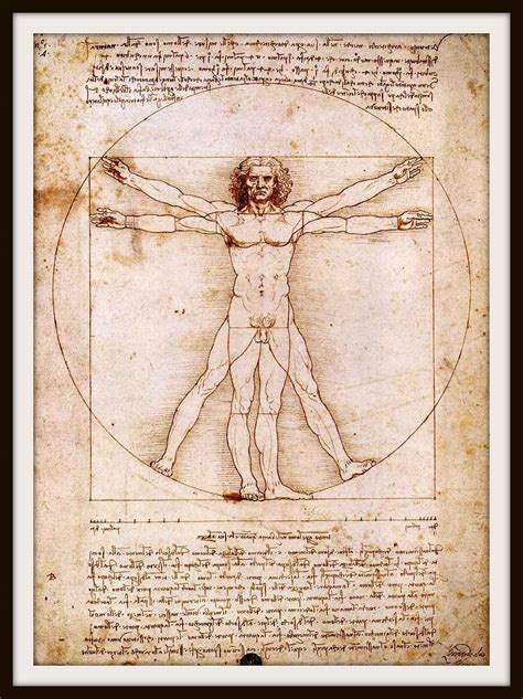 Leonardo Da Vinci Anatomy Drawings