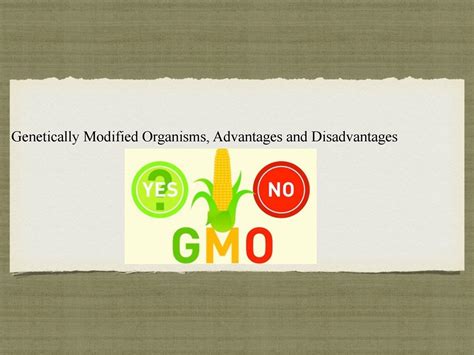 Genetically Modified Crops Advantages And Disadvantages