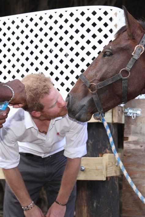 Prince Harry With Animals Pictures | POPSUGAR Celebrity Photo 15