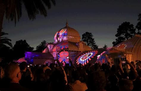 Phototaxis: Free Friday Night at Conservatory of Flowers | Golden Gate Park